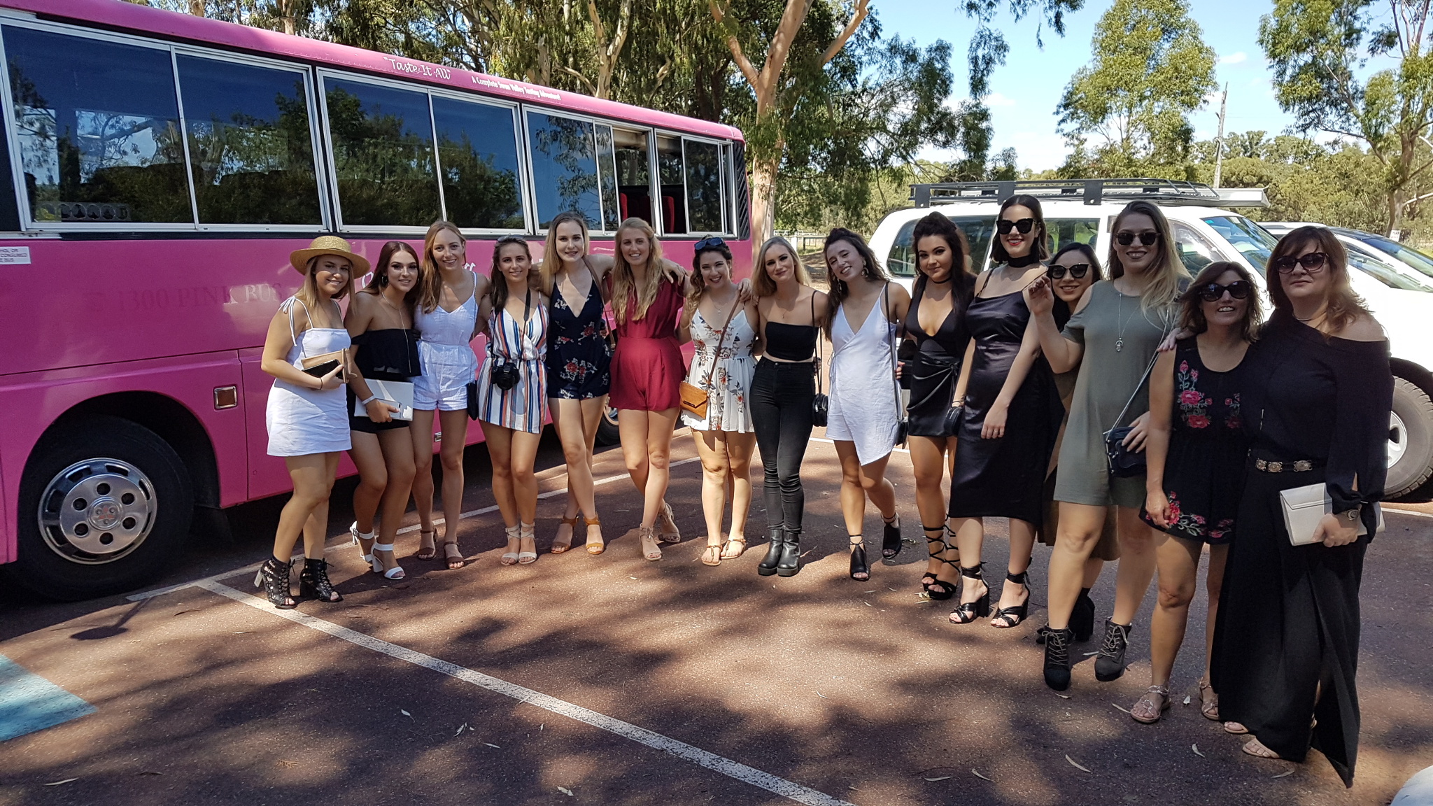 pink bus tours