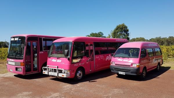 Pink Bus Tours